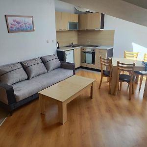 Apartment mit 1 Schlafzimmer